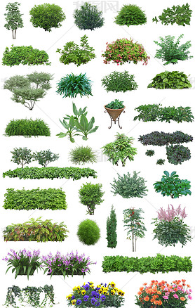 园林景观设计PSD树木植物近景高清绿化效果图下载-编号18460355